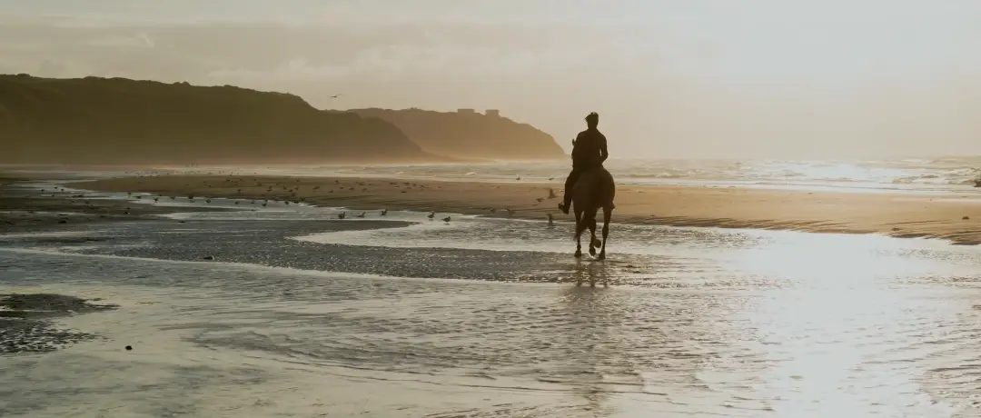 video corporate fermentis mer cheval